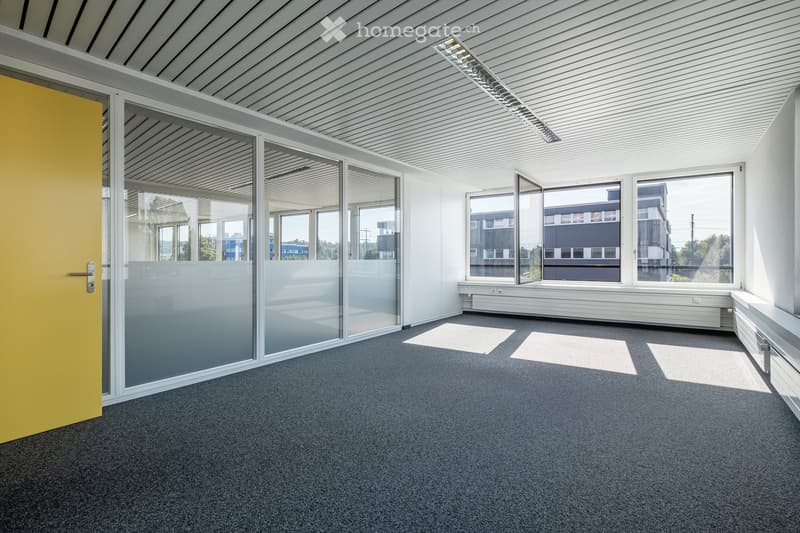 Empty room with grey carpet, white walls, large windows, and a yellow door. No furniture or equipment present.