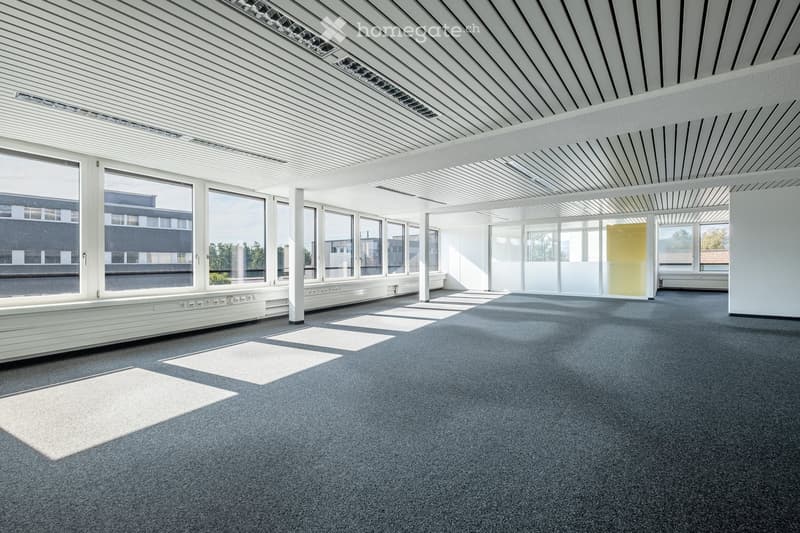 Empty room with grey carpeted floor, white walls, large windows, and a modern white ceiling with linear lighting. No furniture or equipment present.