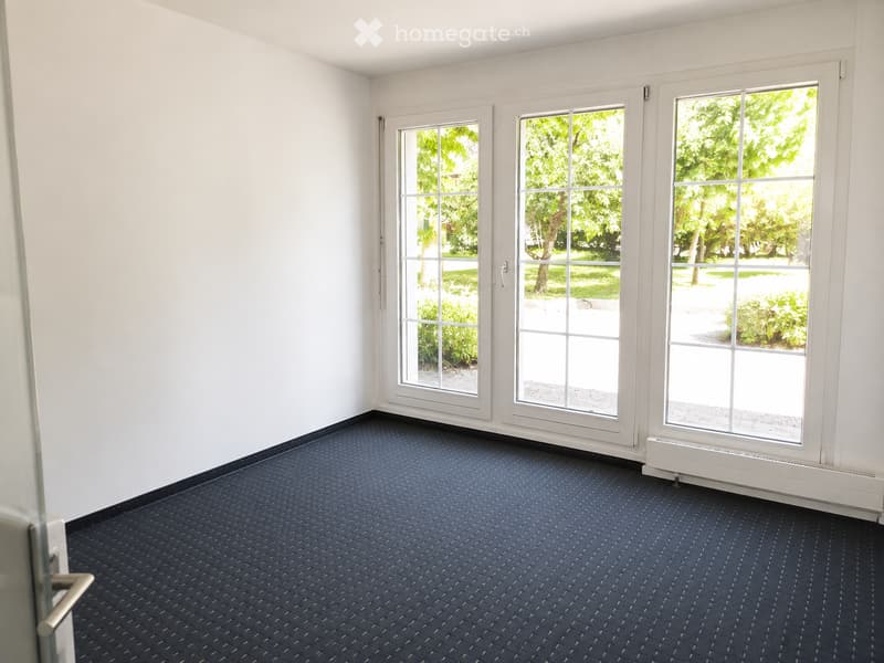 Empty room with white walls, dark blue patterned carpet, and large windows with white frames overlooking a green outdoor area.