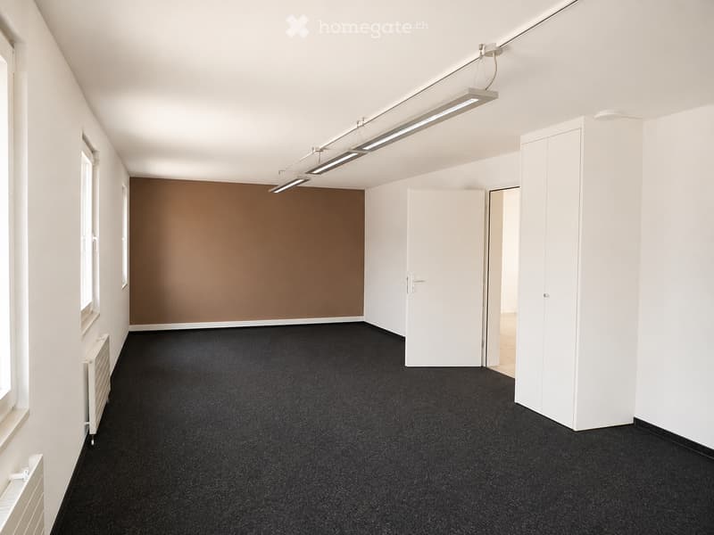 Empty room with white walls, black carpet, and a brown accent wall. Features include a radiator, a door, and a window with white frames.