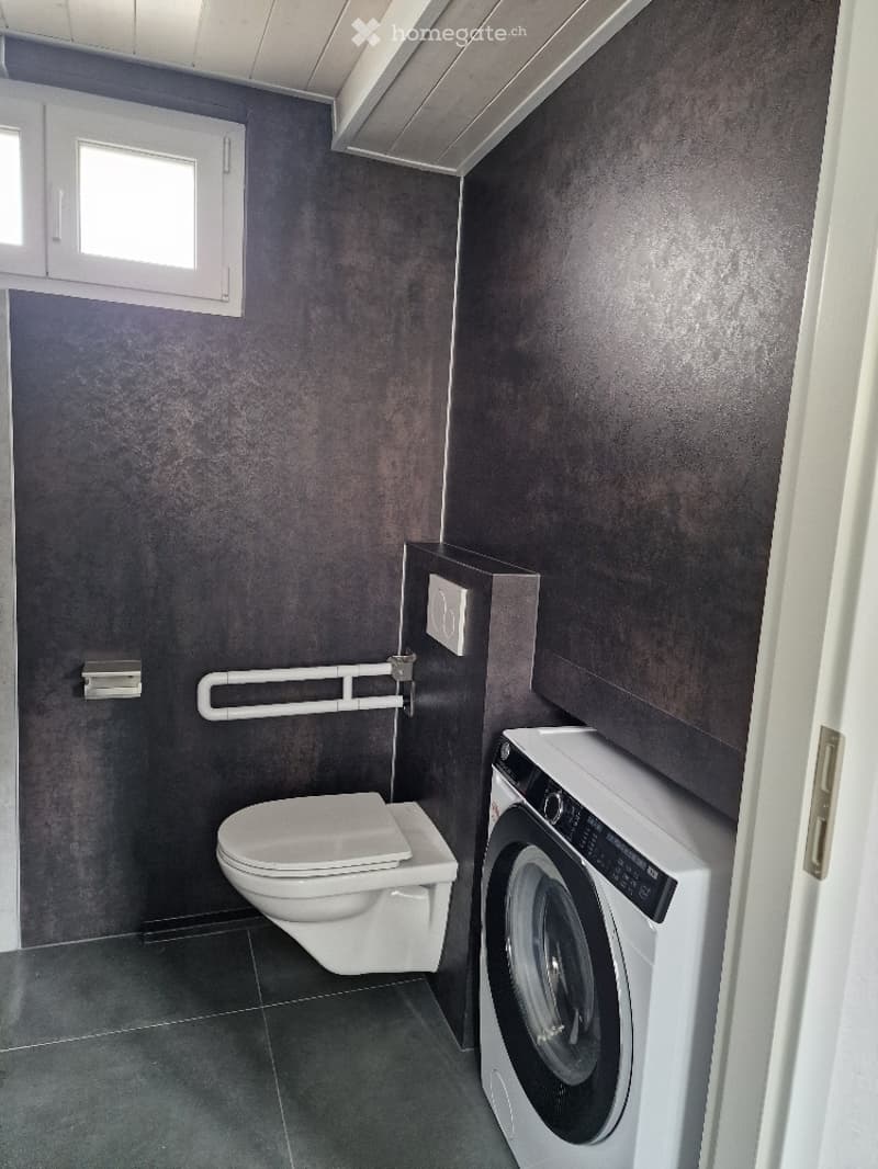 Modern bathroom with dark grey walls, a toilet, a washing machine, and a small window with white frame.
