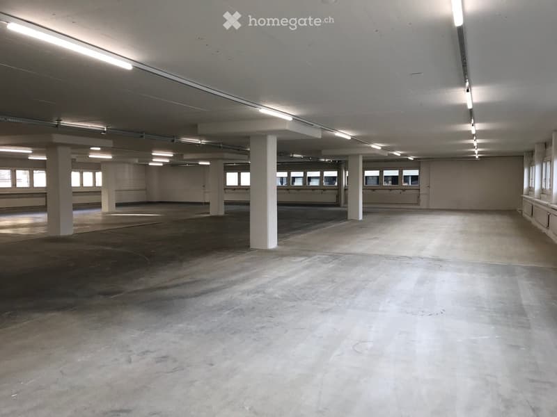 Empty warehouse space with concrete floor, white walls, and large windows, illuminated by overhead fluorescent lighting.