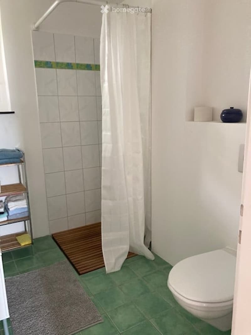 Bathroom with green tiles, white toilet, shower area with curtain, small shelf with towels, and a wooden shower mat.