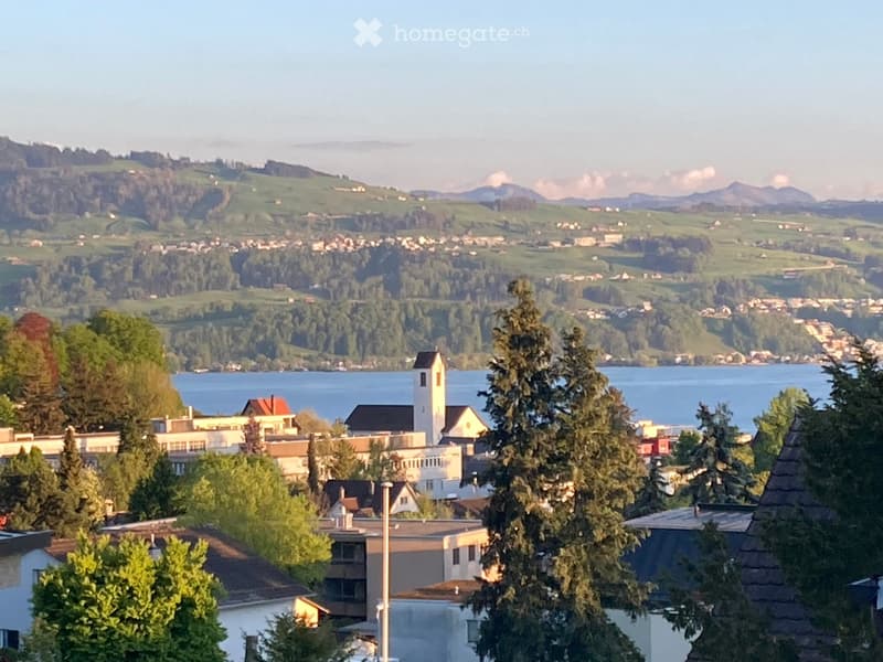 Panoramic view of a town with houses, a church, and a lake surrounded by green hills and mountains.