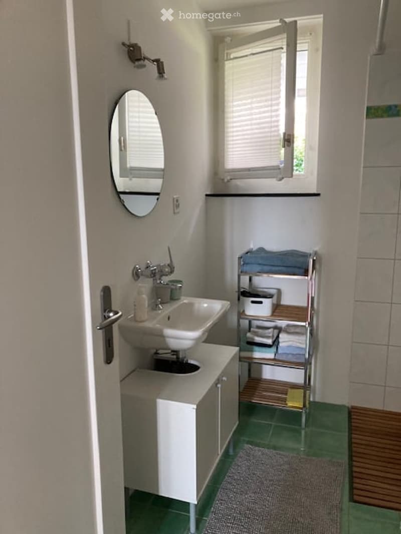 Bathroom with a white sink, mirror, cabinet, and a small shelf holding towels and a basket. Green tiled floor and a grey rug.