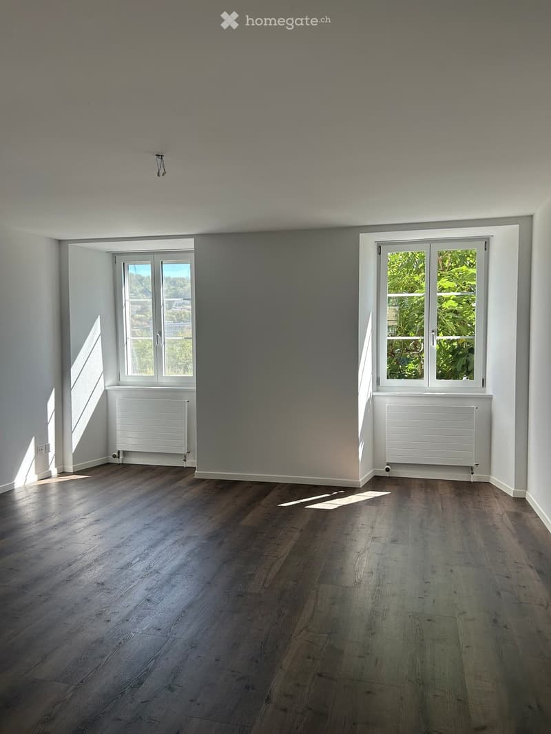 Empty room with wooden flooring, white walls, and two large windows with white frames. Radiators are present under each window.