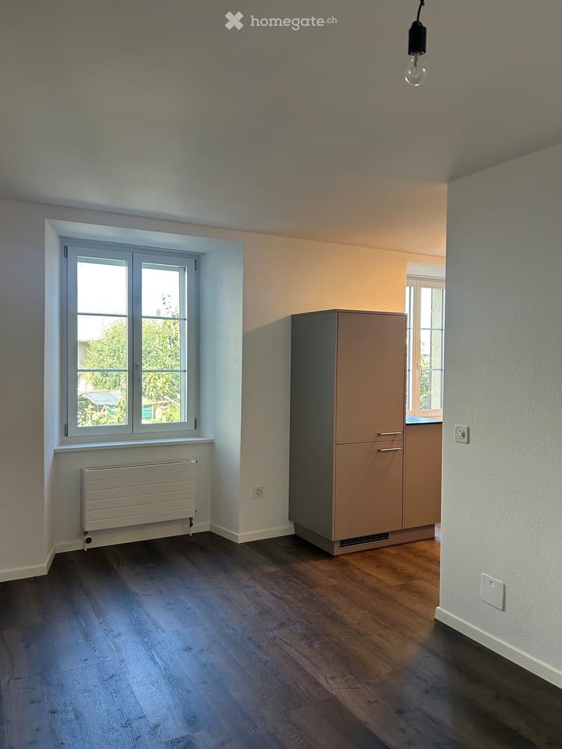 Empty room with wooden flooring, light-colored walls, a radiator, and a cabinet. Windows provide natural light.