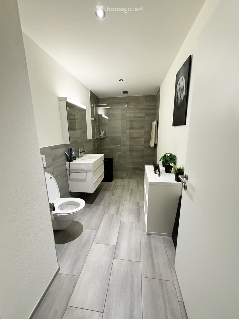 Modern bathroom with grey tiled floor, white walls, a toilet, a sink with a mirror, a shower area, and a small plant on a white vanity.