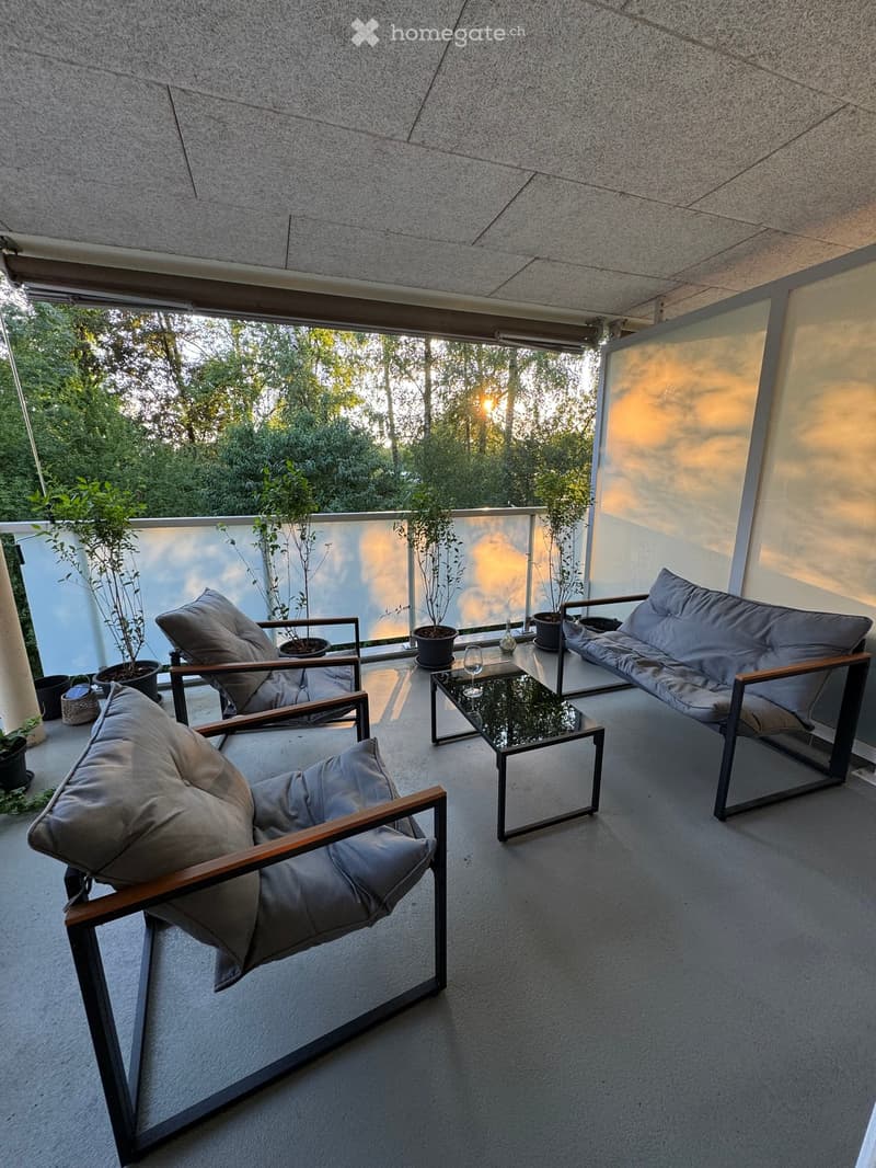 Modern balcony with grey sofa, two chairs, a small table, and potted plants, overlooking a green landscape.