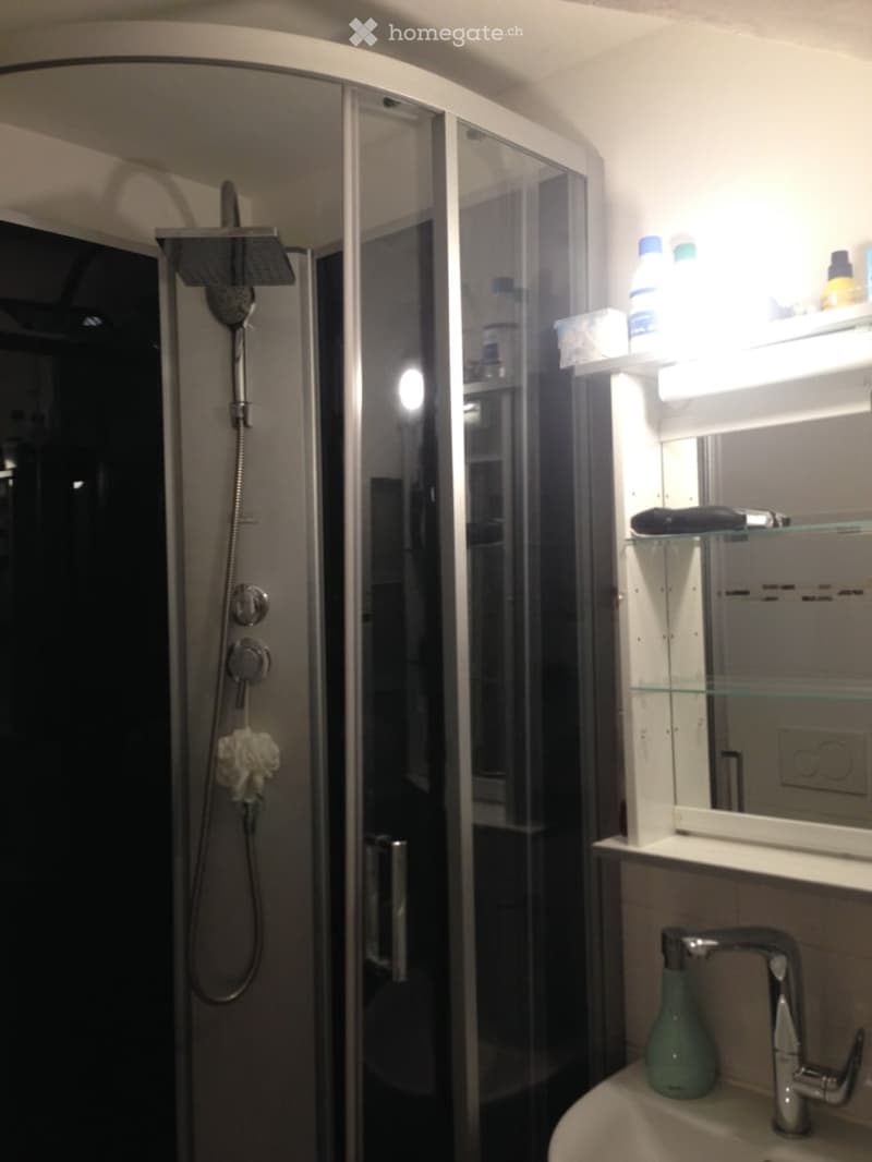 Modern bathroom with a glass-enclosed shower, a sink with a modern faucet, and a mirrored cabinet with shelves holding various bottles and items.