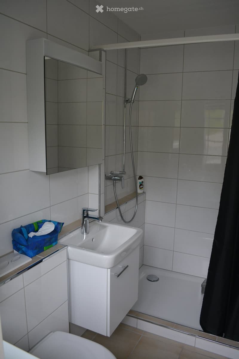 Modern bathroom with white tiles, a white sink with a chrome faucet, a mirrored cabinet, a shower area with a glass enclosure, and a toilet. A towel is visible on the side.