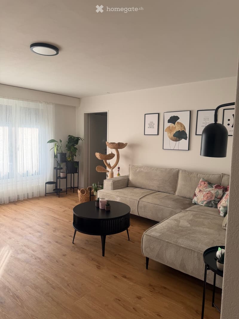 Modern living room with light-colored sofa, black coffee table, cat tree, side table, potted plants, wall art, and floor lamp.