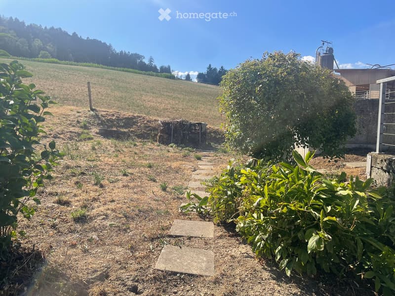 Garden area with a stone pathway, various plants, and a small shed in the background, surrounded by open fields and trees.