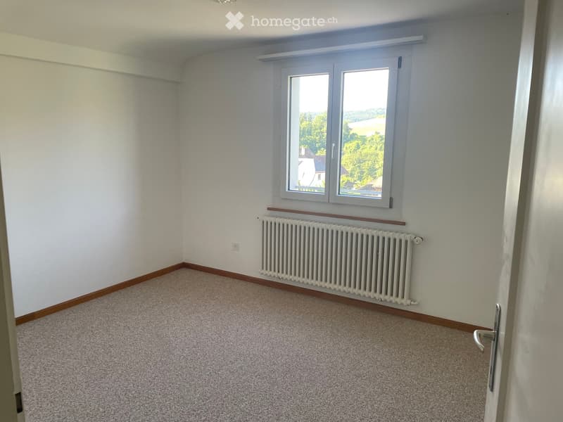 Empty room with light-colored walls, carpeted floor, and a white radiator beneath a window with a view of greenery.