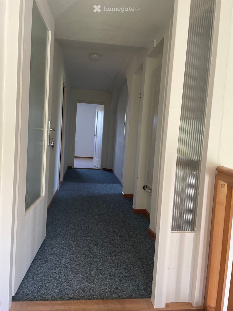 A narrow carpeted hallway with white walls, a ceiling light, and doors on either side.