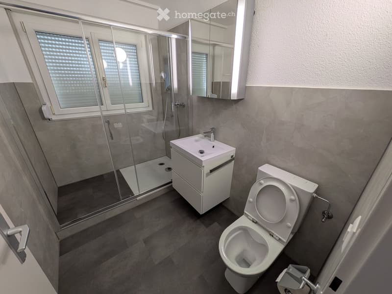 Modern bathroom with a toilet, sink, mirror, and glass-enclosed shower. Grey tiled walls and dark wooden flooring.