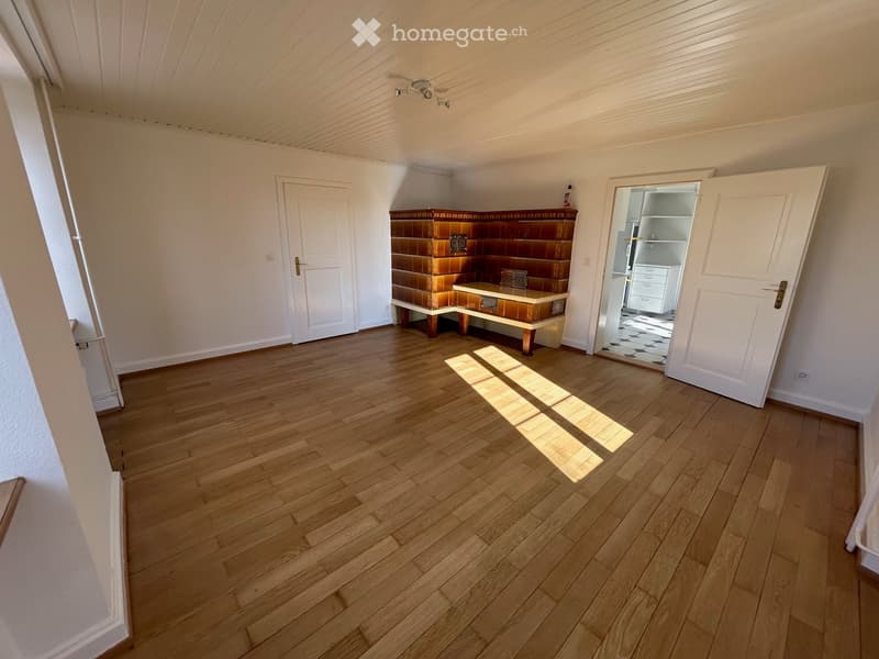 Hardwood floors, fireplace, two doors, storage room, ceiling lamps