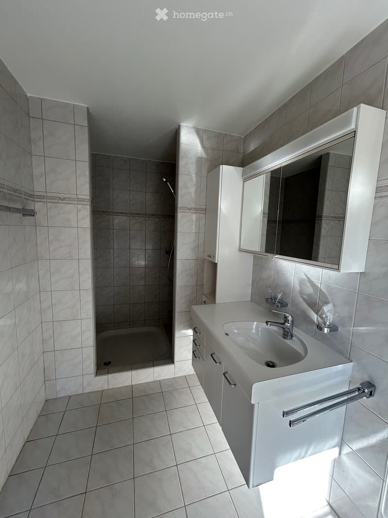 shower, bathtub, sink, cabinets, mirror