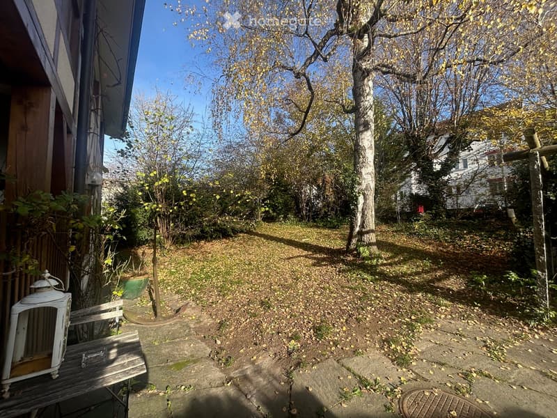 Backyard with grass, trees, leaf litter, wooden bench, lantern