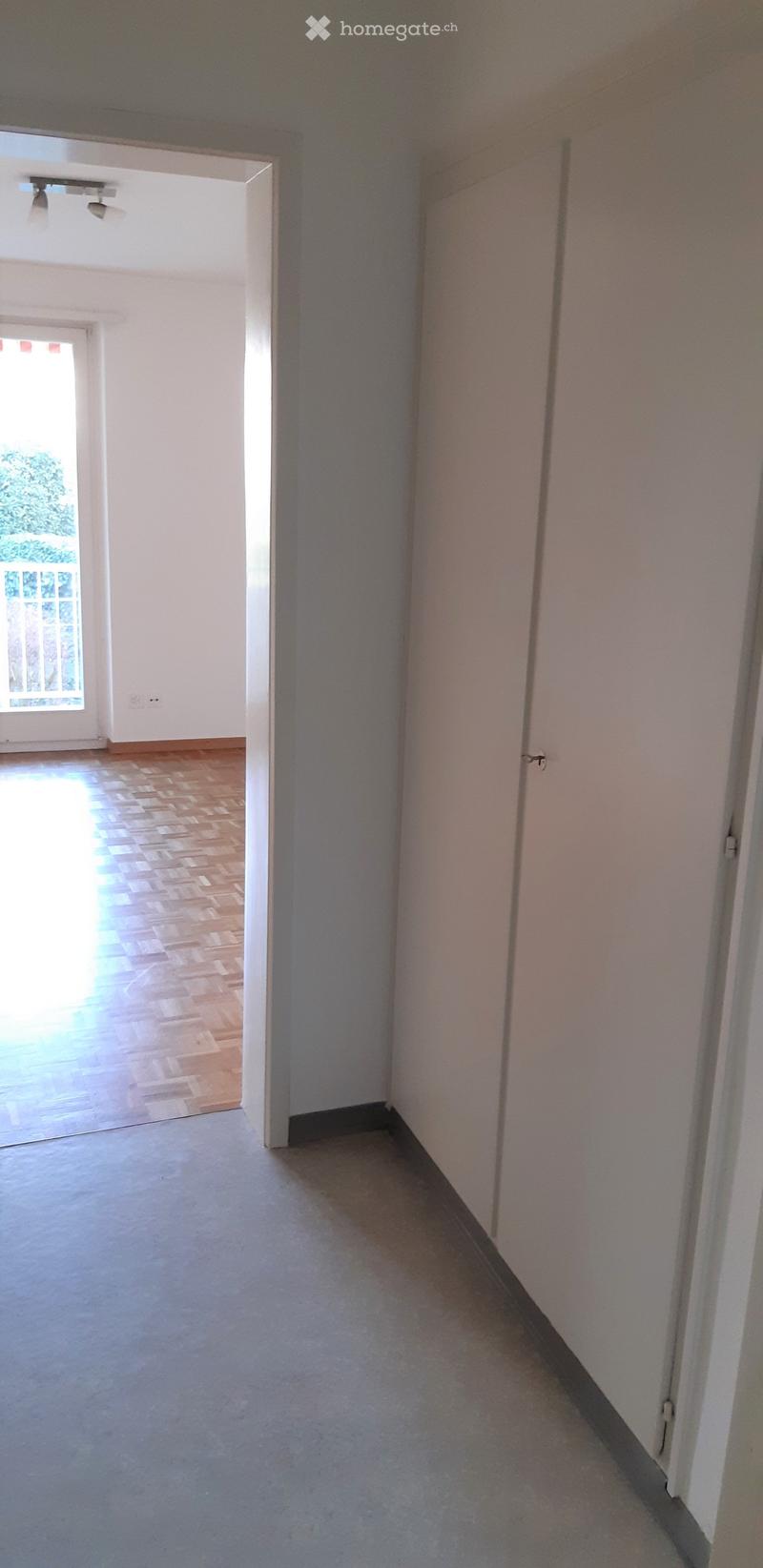 Empty hallway with light-colored walls, carpeted floor, and a wooden door on the right. A room with wooden flooring and a window is visible at the end of the hallway.