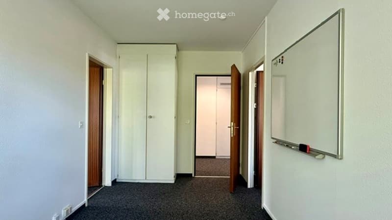 Empty hallway with white walls, carpeted floor, and several doors leading to other rooms. A white cabinet is visible on the left side.