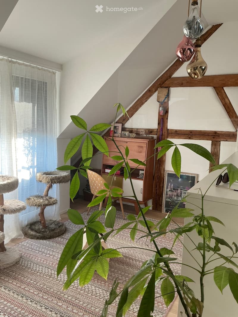 Cozy attic room with slanted wooden beams, large window with white curtains, cat tree, wooden chair, cabinet, and large leafy plant in the foreground.