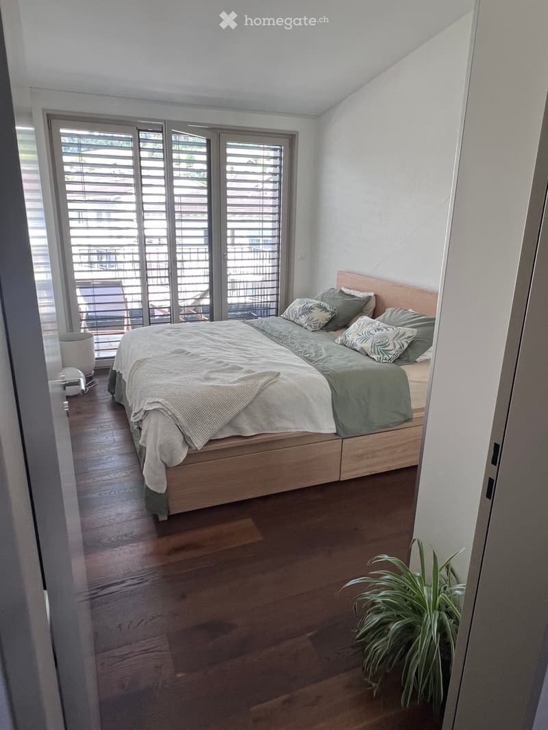 Modern bedroom with wooden flooring, large bed with green bedding, decorative pillows, and a plant near the door.