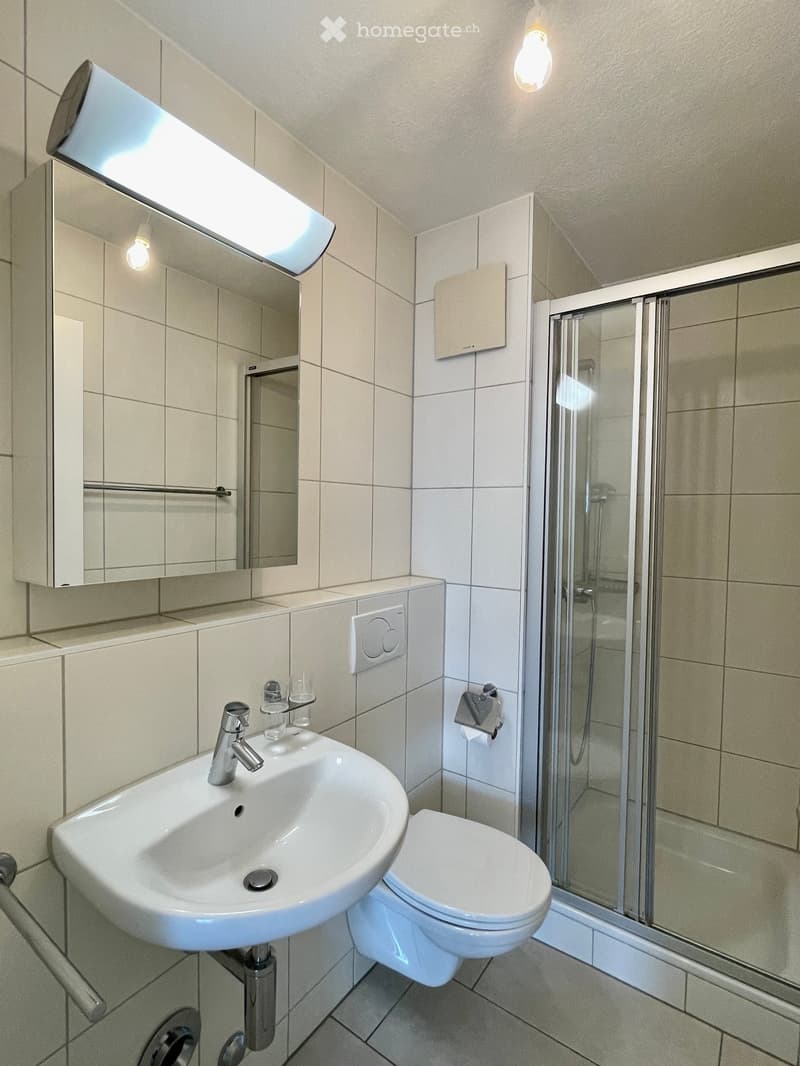 Modern bathroom with a white sink, chrome faucet, toilet, mirrored cabinet, and a glass-enclosed shower area.