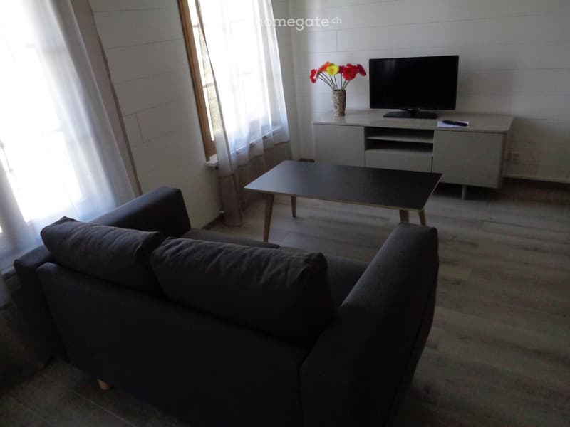 Living room with a dark grey sofa, a black coffee table, a TV stand with a flat-screen TV, and a vase with flowers on the TV stand. The room has large windows with white curtains and a carpeted floor.