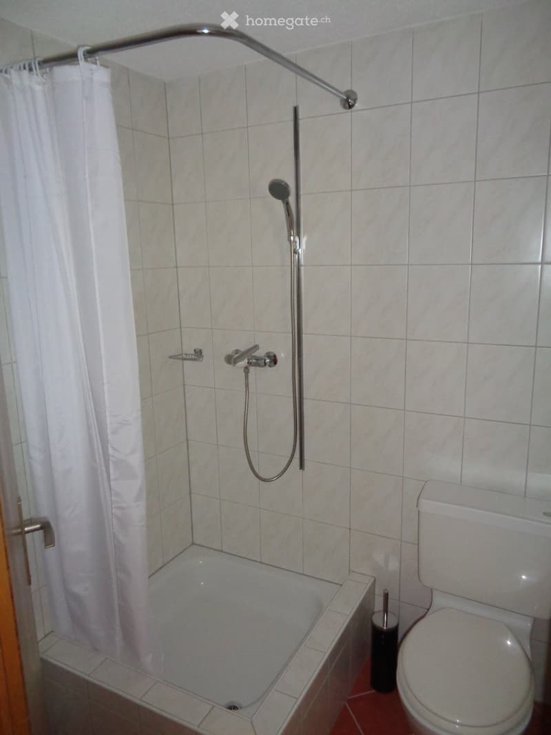 Bathroom with a bathtub, toilet, showerhead, and a white shower curtain.