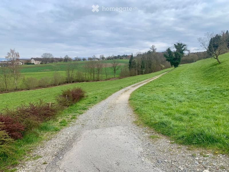 A rural landscape with a gravel path leading through green fields, surrounded by trees and distant houses.