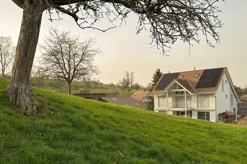 A modern two-story house with a raised ground floor, surrounded by a grassy hill and trees. The roof features solar panels.