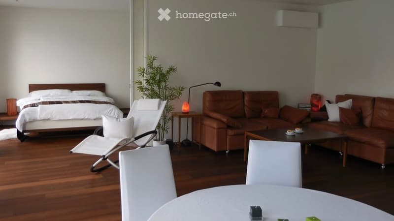 A modern, open-concept living and bedroom space with wooden flooring, a large bed, a brown leather sofa, a white folding chair, a small side table with a lamp, and a potted plant.