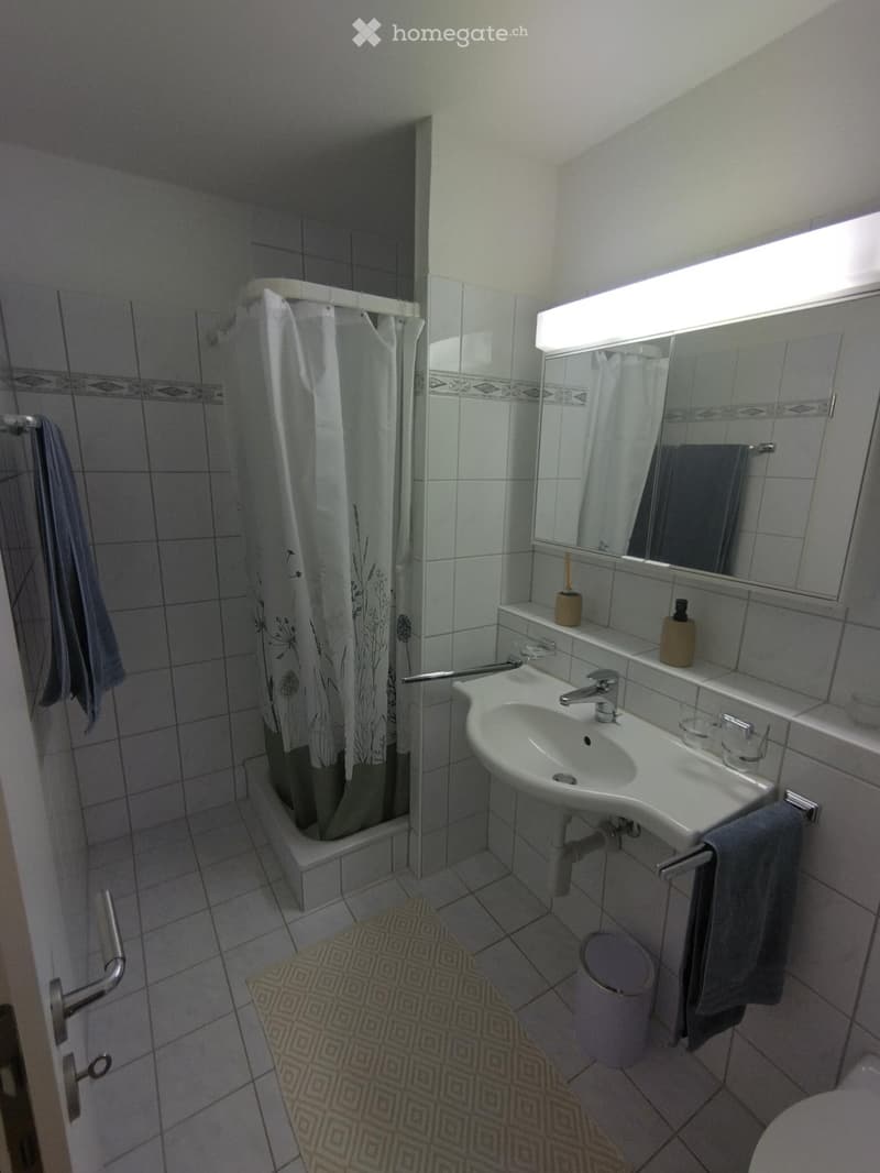 Bathroom with a white sink, mirror, shower area with a curtain, and a towel hanging on the side.
