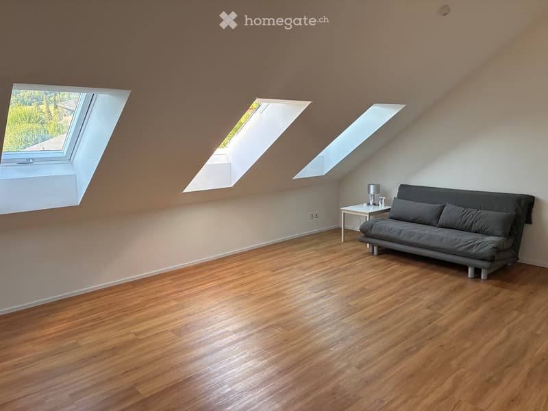 A modern, sparsely furnished room with wooden flooring, large skylight windows, a grey sofa, a small table, and a lamp.