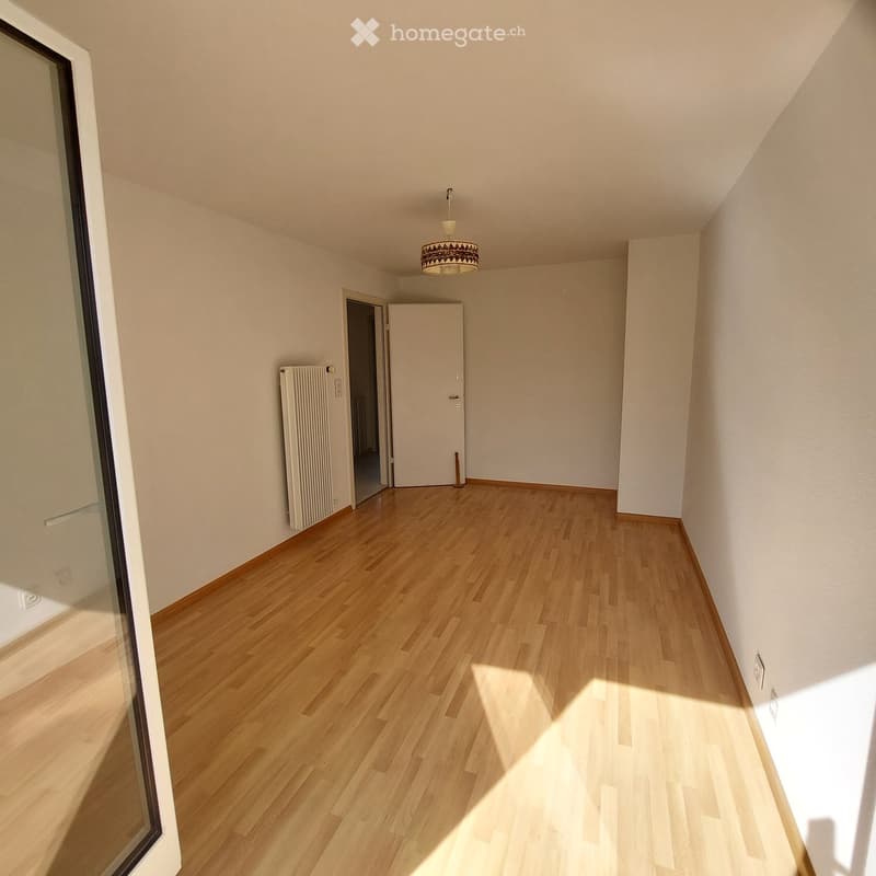 Empty hallway with wooden flooring, white walls, and a hanging light fixture. There is a radiator on one wall and a door leading to another room.