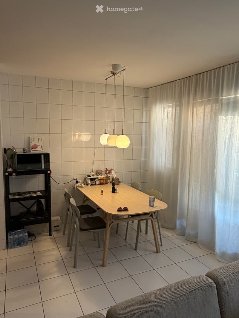 Spacious and bright 4 room apartment with balcony in the heart of Plainpalais (5)