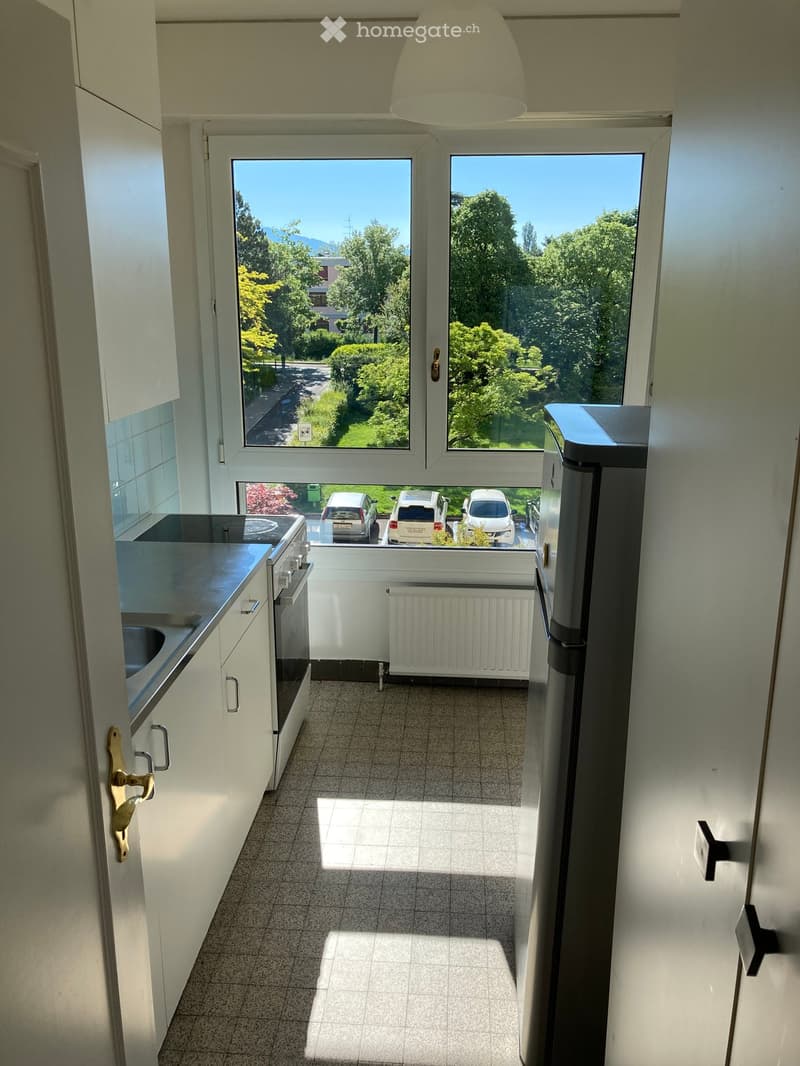 Modern kitchen with white cabinets, stainless steel appliances, and large windows overlooking a parking area.