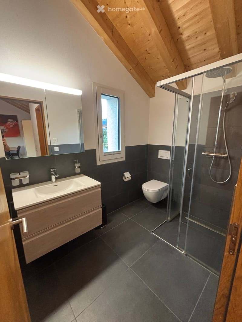 Modern bathroom with dark tiles, a wooden vanity, a glass-enclosed shower, and a large mirror above the sink.