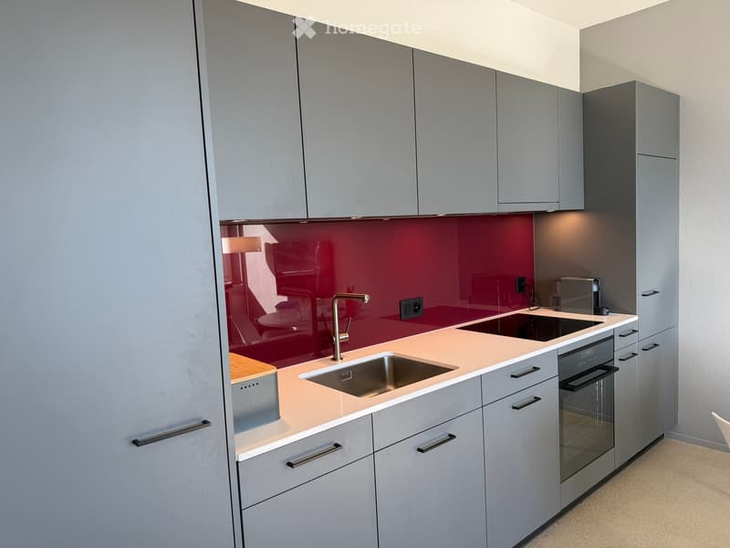 Modern kitchen with grey cabinets, a red backsplash, a stainless steel sink, and a built-in oven.