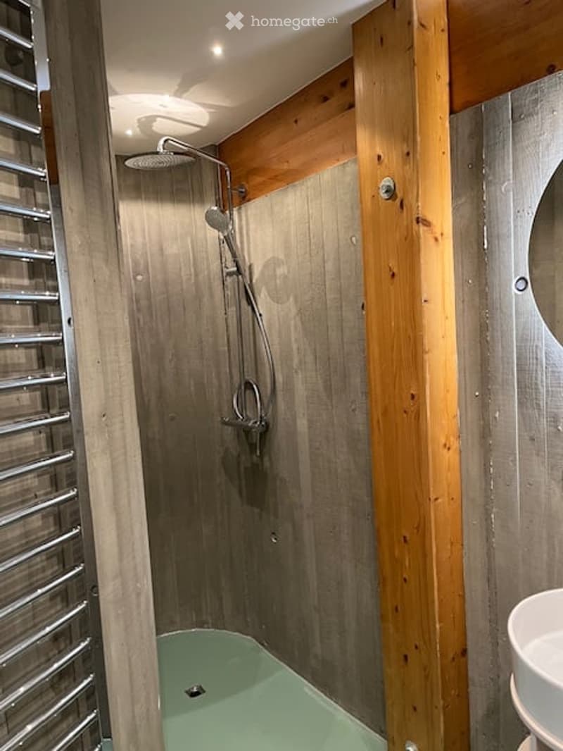 Modern bathroom with a shower area, wooden paneling, and a small bathtub. Features a sleek showerhead and a modern faucet.