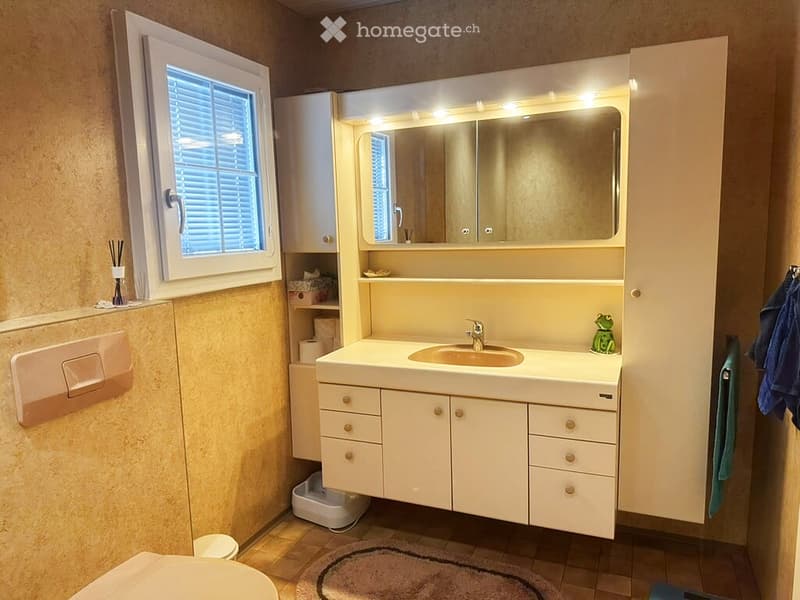 Bathroom with a white sink, mirror with built-in lighting, cabinets, toilet, and a small window with blinds. A cat litter box is visible in the corner, along with a towel and a decorative frog figurine on the sink counter.