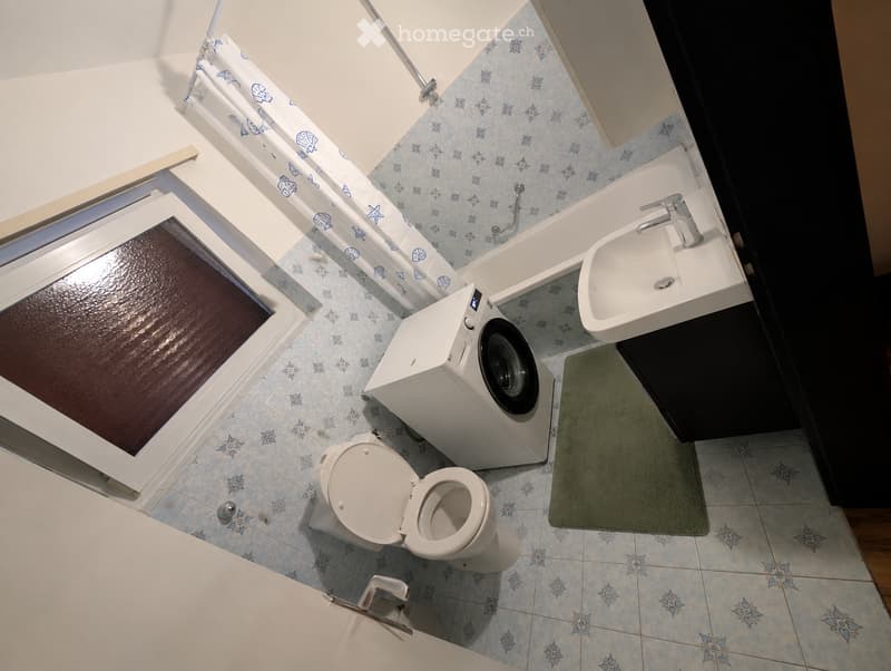 Bathroom with blue patterned tiles, a toilet, a washing machine, a sink with a faucet, a green bathroom rug, and a shower curtain with a blue and white design.