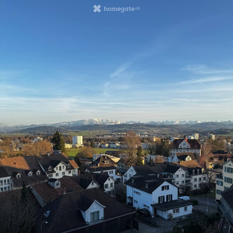 Aerial view of a suburban neighborhood with multiple houses, surrounded by trees and a distant mountain range.