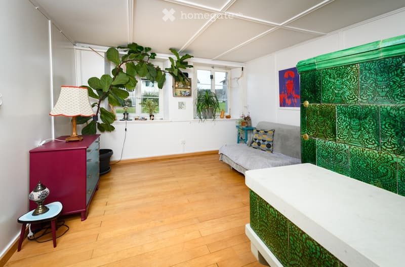 A cozy living room with wooden flooring, a grey sofa, a colorful lamp, a purple cabinet, and several plants near the windows.
