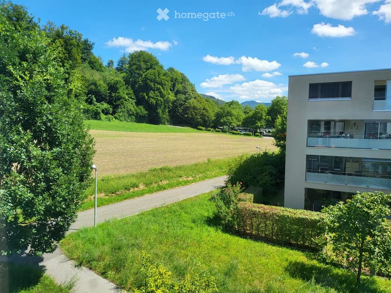 Ein Bijou, wie in einer Eigentumswohnung mit herrlicher Aussicht ins Grüne in Kirchdorf (2)
