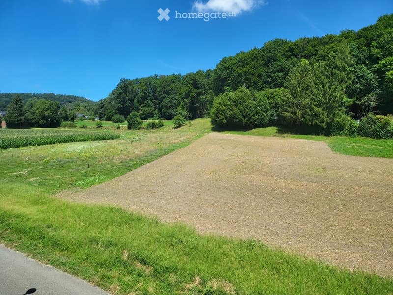 Ein Bijou, wie in einer Eigentumswohnung mit herrlicher Aussicht ins Grüne in Kirchdorf (23)