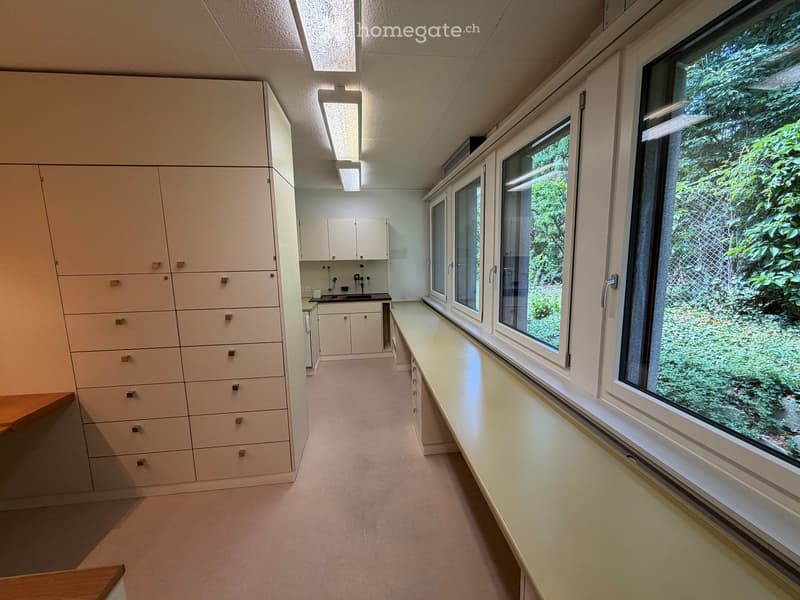 A small, well-lit room with white cabinets, a sink, and large windows overlooking greenery.