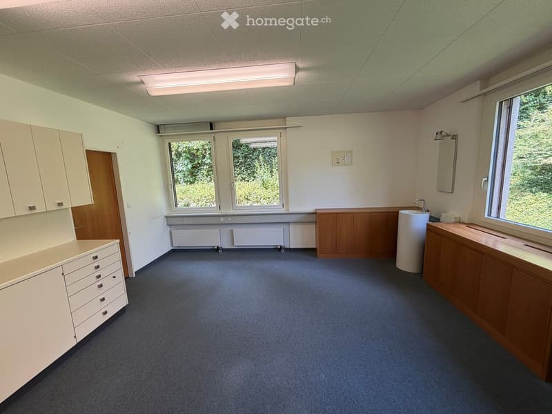 A clean, unfurnished bathroom with a sink, mirror, and wooden cabinets. The space features blue carpeting, white walls, and large windows with a view of greenery.