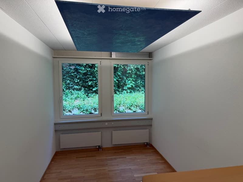 Empty room with wooden flooring, white walls, large window with double glass panels, radiators, and a slanted ceiling with integrated lighting.